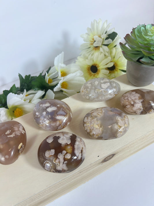 XL Flower Agate Palmstone